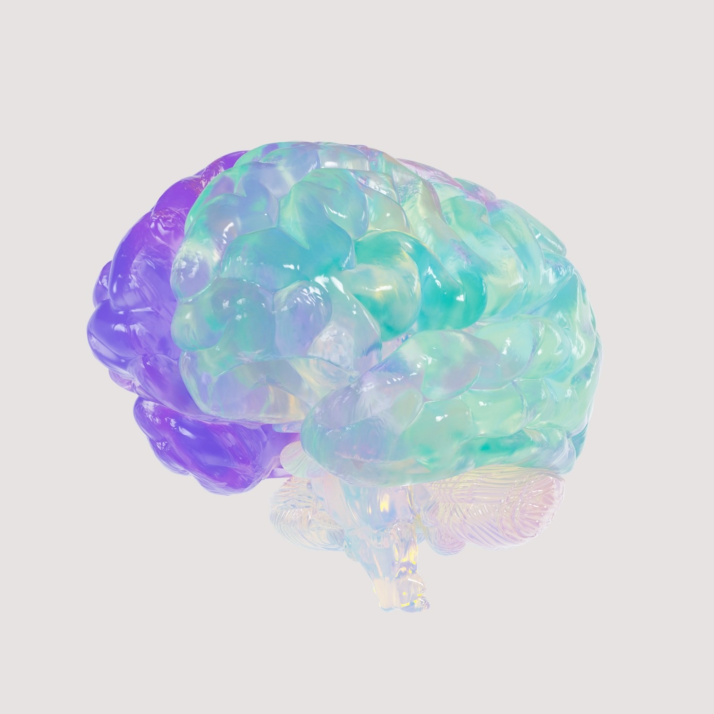 What to Expect in a Professional Psychological Assessment